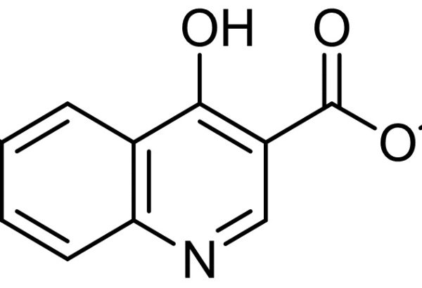 4-Hydroxyquinoline-3-Carboxylic Acid Ethyl Ester