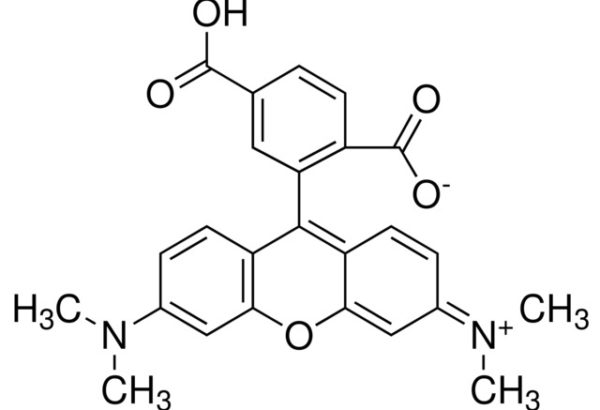 6-Carboxytetramethylrhodamine