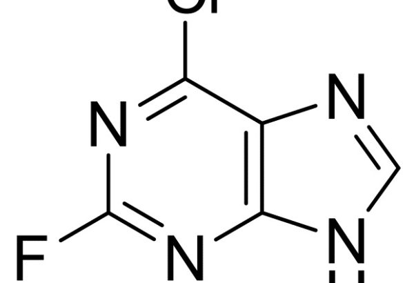 6-Chloro-2-fluoropurine