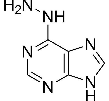 6-Hydrazinopurine