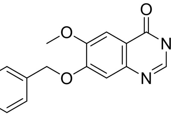 6-Methoxy-7-Benzyloxyquinazolin-4-One