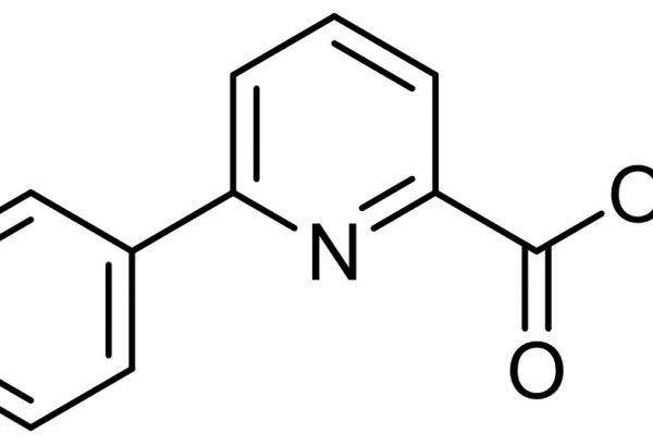 6-Phenylpyridine-2-Carboxylic Acid