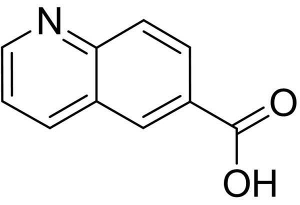 6-Quinolinecarboxylic acid