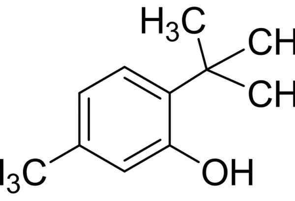 6-Tert-Butyl-m-Cresol