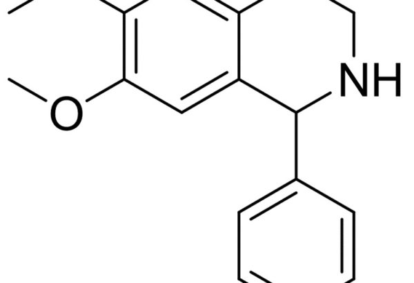 6,7-dimethoxy-1-phenyl-1,2,3,4-tetrahydroisoquinoline
