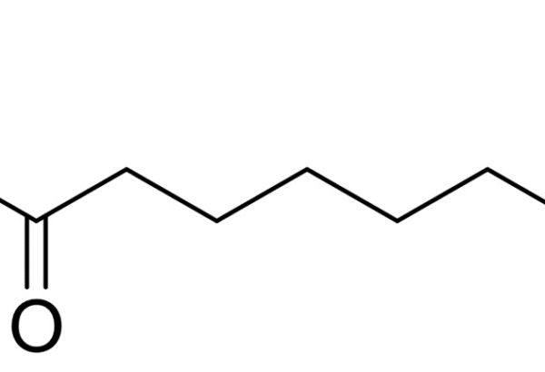 7-Amino-Heptanoic Acid Ethyl Ester Hydrochloride