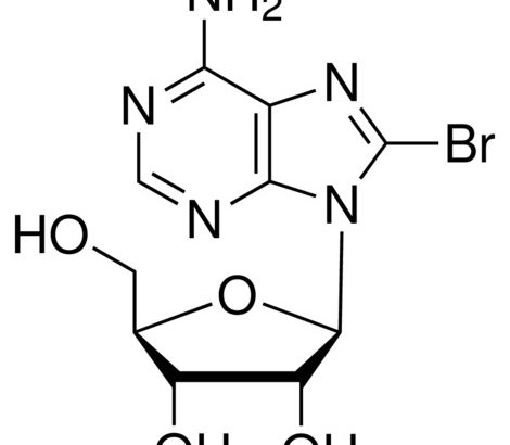 8-Bromoadenosine