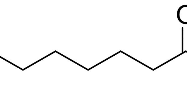 8-Bromooctanoic Acid Ethyl Ester