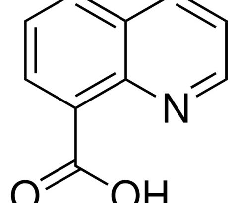 8-Quinolinecarboxylic Acid