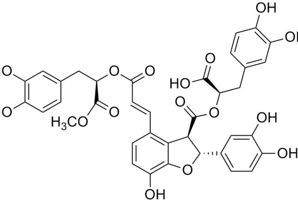 9’-Methyl lithospermate B