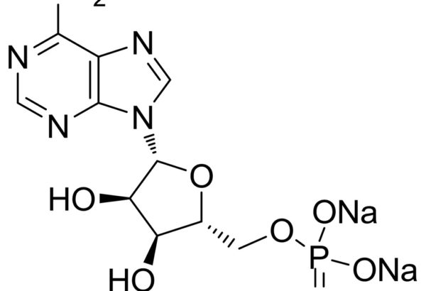 Adenosine-5-Monophosphate Disodium Salt