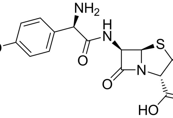 Amoxicillin