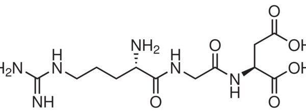 Arg-Gly-Asp