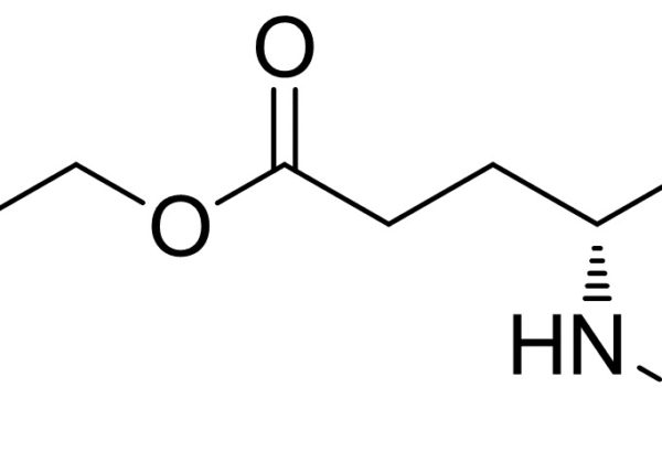 Boc-D-Glutamic Acid 5-Benzyl Ester