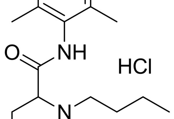 Bupivacaine hydrochloride