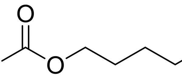 Chloroformic Acid Amyl Ester
