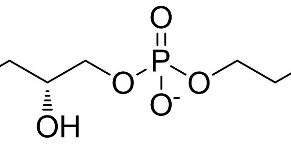 Choline Glycerophosphate