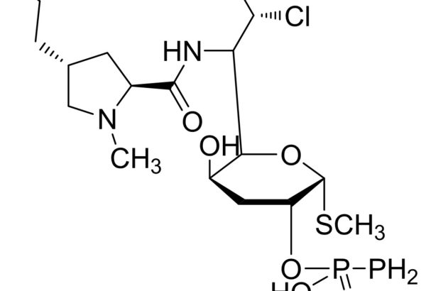 Clindamycin Phosphate