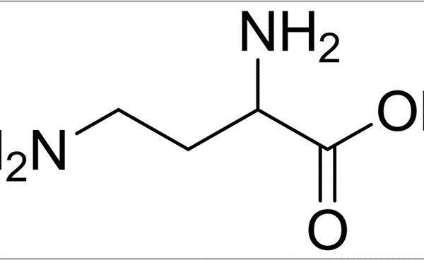 D-2,4-Diaminobutyric Acid Dihydrochloride