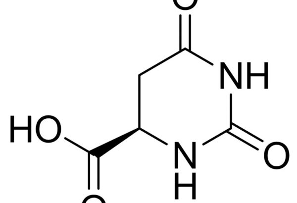 D-Hydroorotic Acid