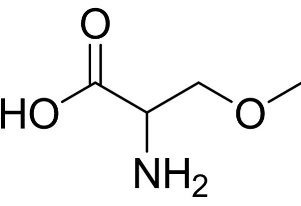 DL-O-Methylserine