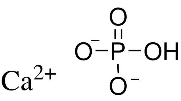 Dibasic Calcium Phosphate