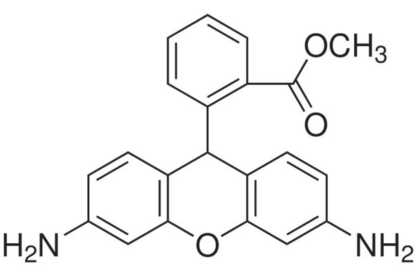Dihydrorhodamine 123