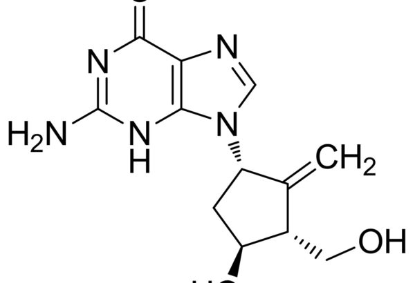 Entecavir