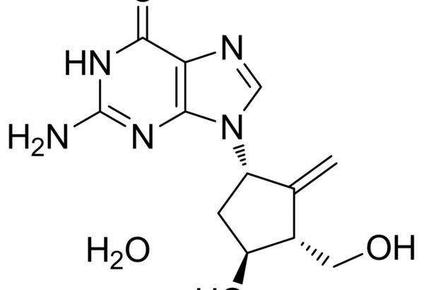 Entecavir hydrate