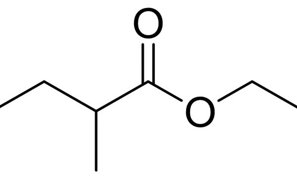 Ethyl 2-methylbutyrate 1 Ethyl 2-methylbutyrate