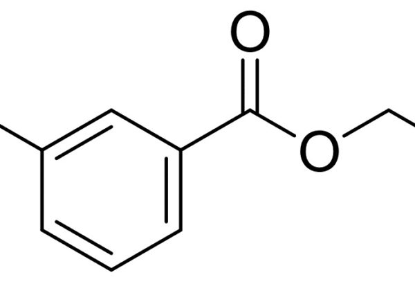 Ethyl 3-Fluorobenzoate