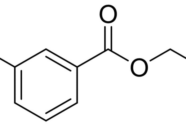 Ethyl 3-Methylbenzoate