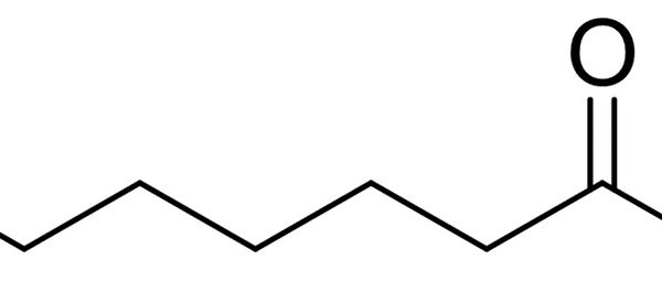 Ethyl 7-Bromoheptanoate
