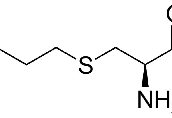 Fudosteine