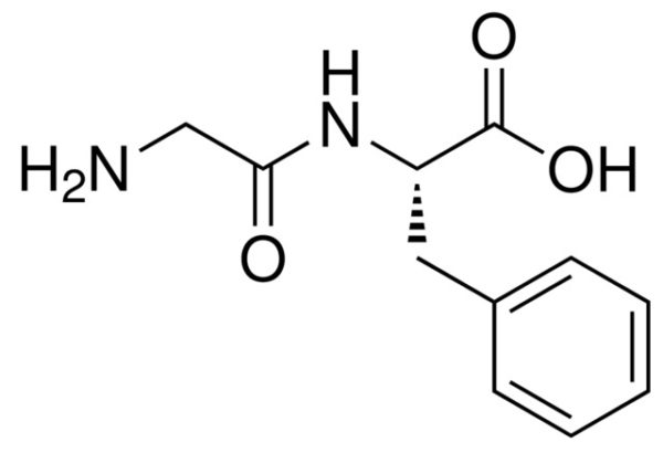 Glycyl-L-phenylalanine