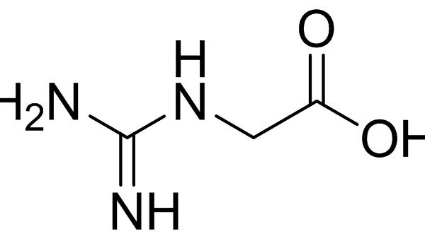 Guanidinoacetic Acid
