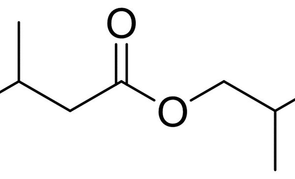 Isobutyl Isovalerate