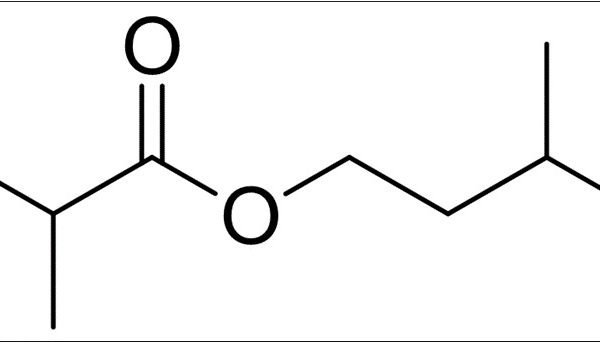 Isobutyric Acid Isoamyl Ester