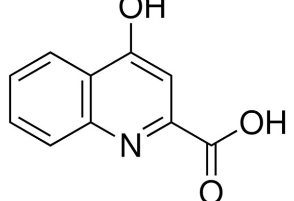 Kynurenic acid