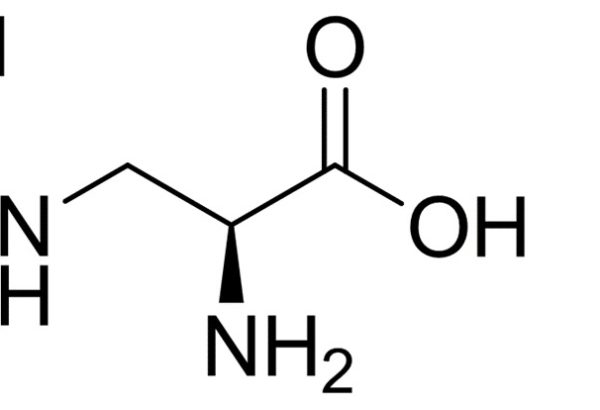 L-2-Amino-3-Guanidinopropionic Acid Hydrochloride