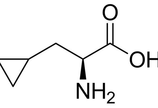 L-3-Cyclopropylalanine