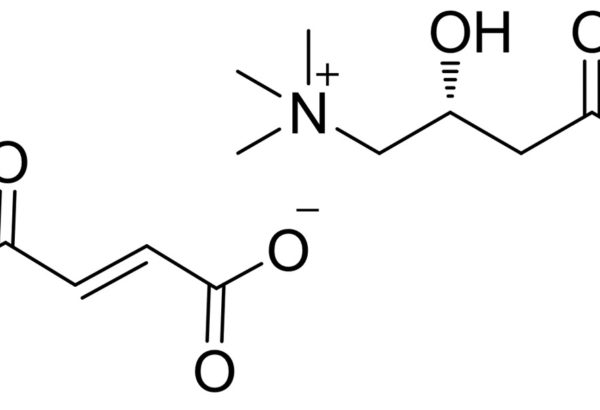 L-Carnitine fumarate
