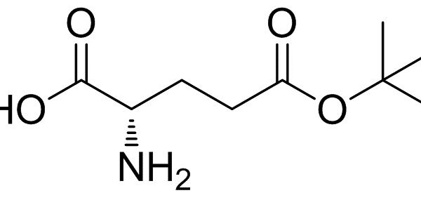 L-Glutamic Acid 5-Tert-Butyl Ester