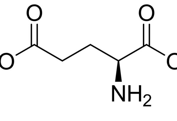 L-Glutamic acid 5-tert-butyl 1-methyl ester hydrochloride 1 L-Glutamic acid 5-tert-butyl 1-methyl ester hydrochloride