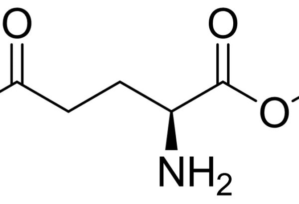 L-Glutamic acid α-tert·butyl ester