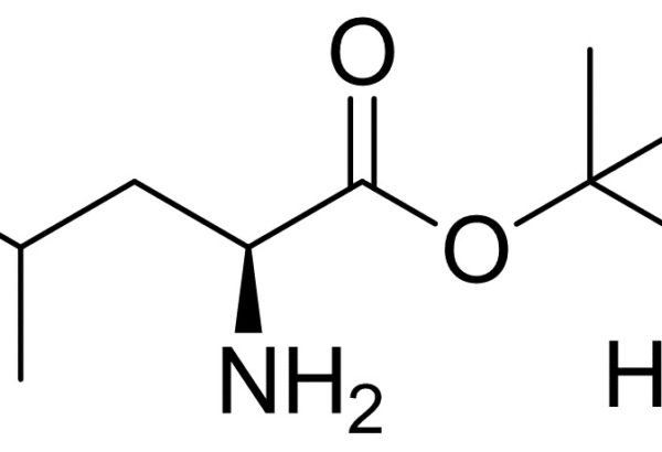 L-Leucine t-Butyl Ether Hcl Salt