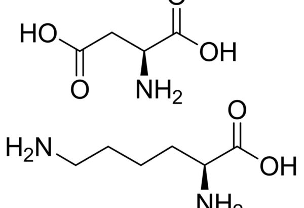 L-Lysine-L-aspartate