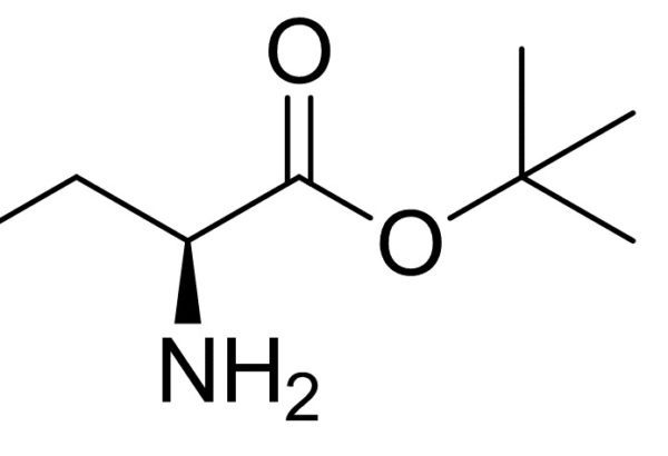L-Phenylalnine t-Butyl Ester Hydrochloride