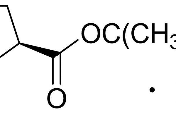 L-Proline tert-Butyl Ester Hydrochloride
