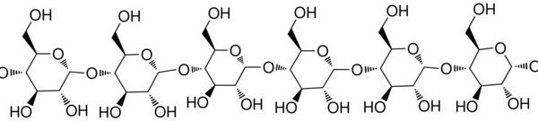 Maltohexaose